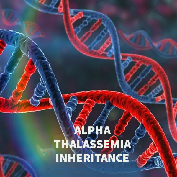 Alpha Thalassemia Inheritance-01